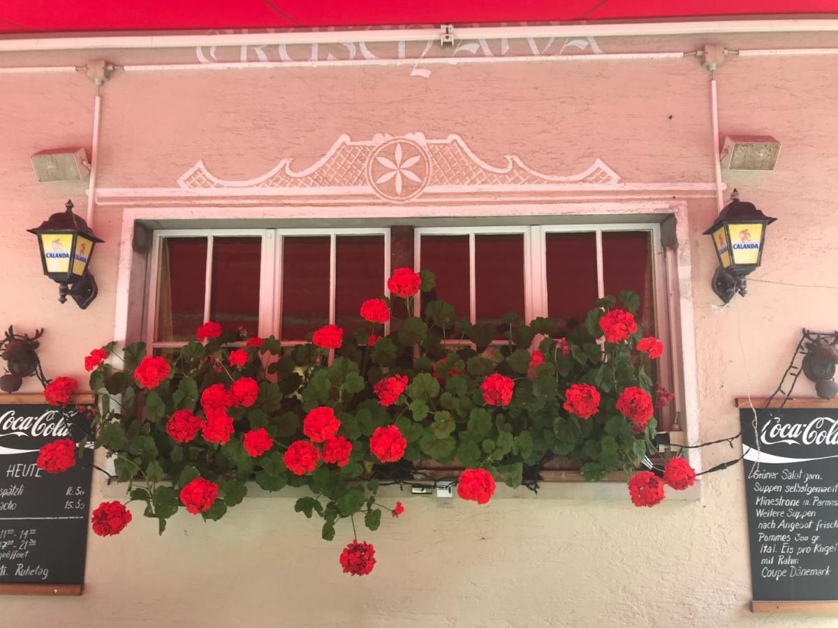 Bed and Breakfast Ustria Crusch Alva Tavanasa Экстерьер фото