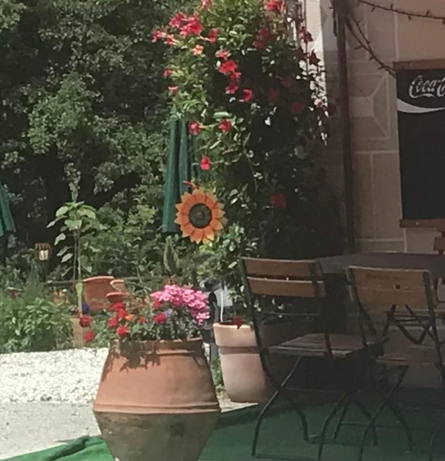 Bed and Breakfast Ustria Crusch Alva Tavanasa Экстерьер фото